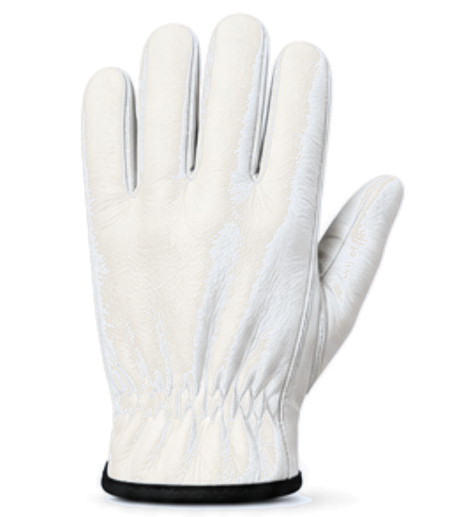 RLI-DRV-3101 Premium Driver