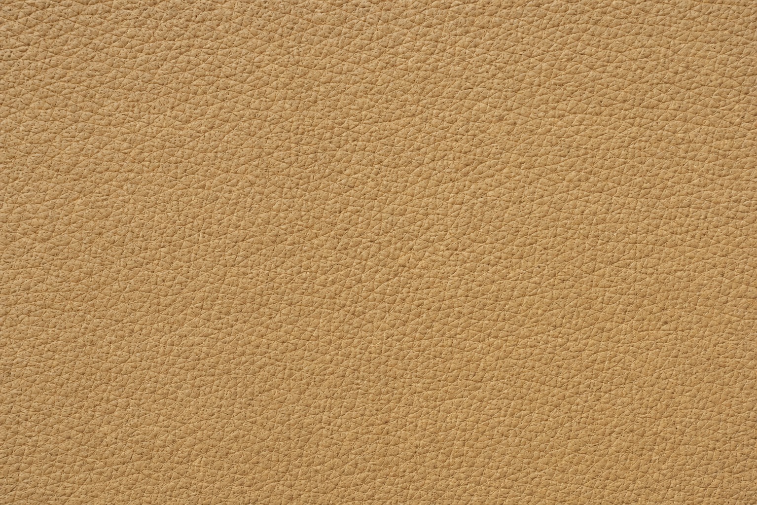 Goat Leather